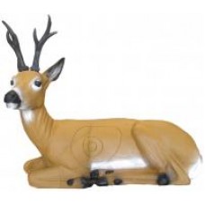 SRT Bedded Roe Deer :  ST22